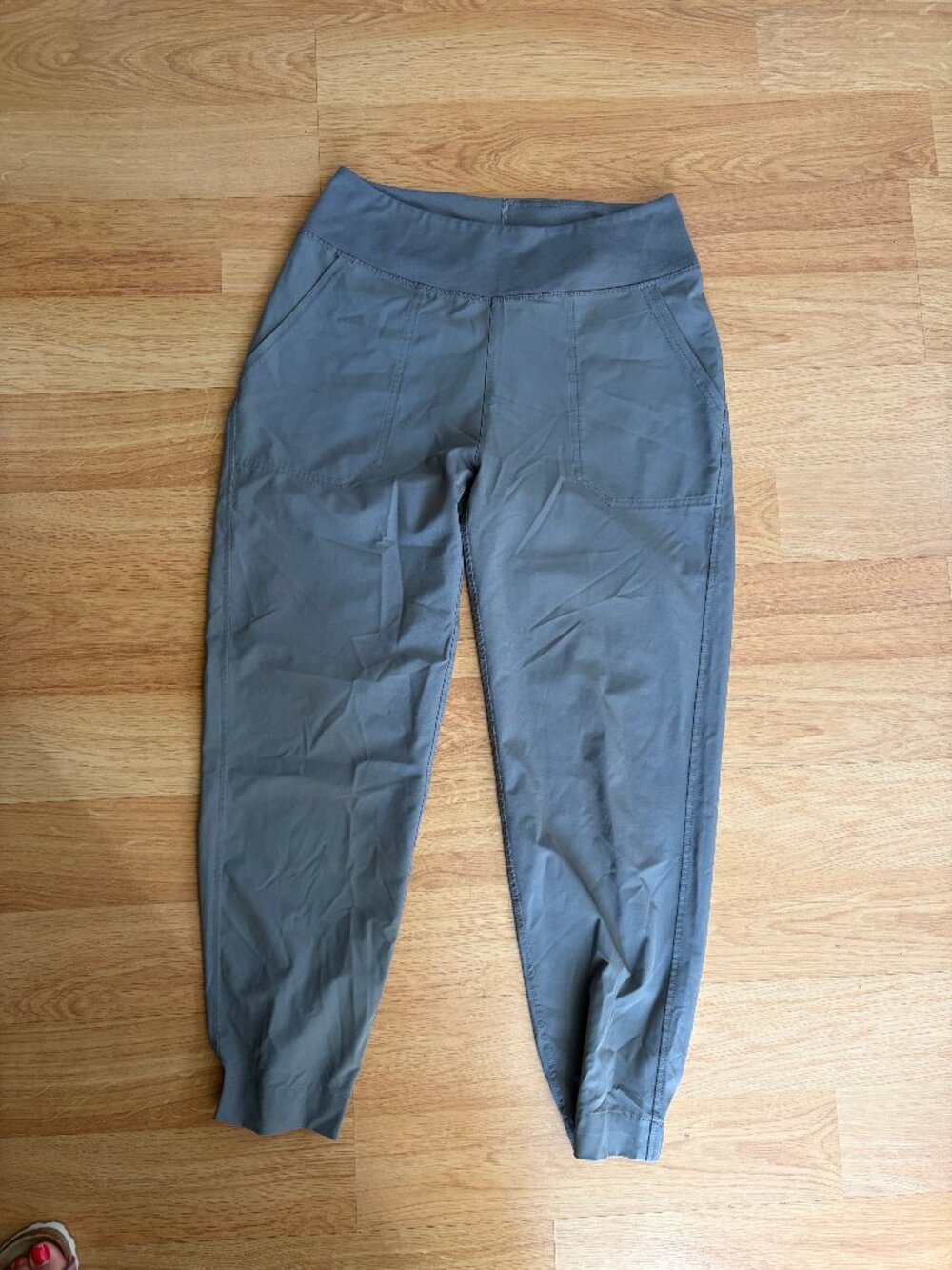 Patsgonia Happy Hiker Joggers